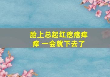 脸上总起红疙瘩痒痒 一会就下去了